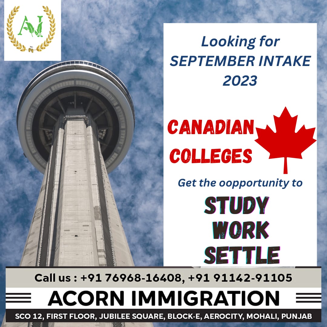 a_immmigration's tweet image. 