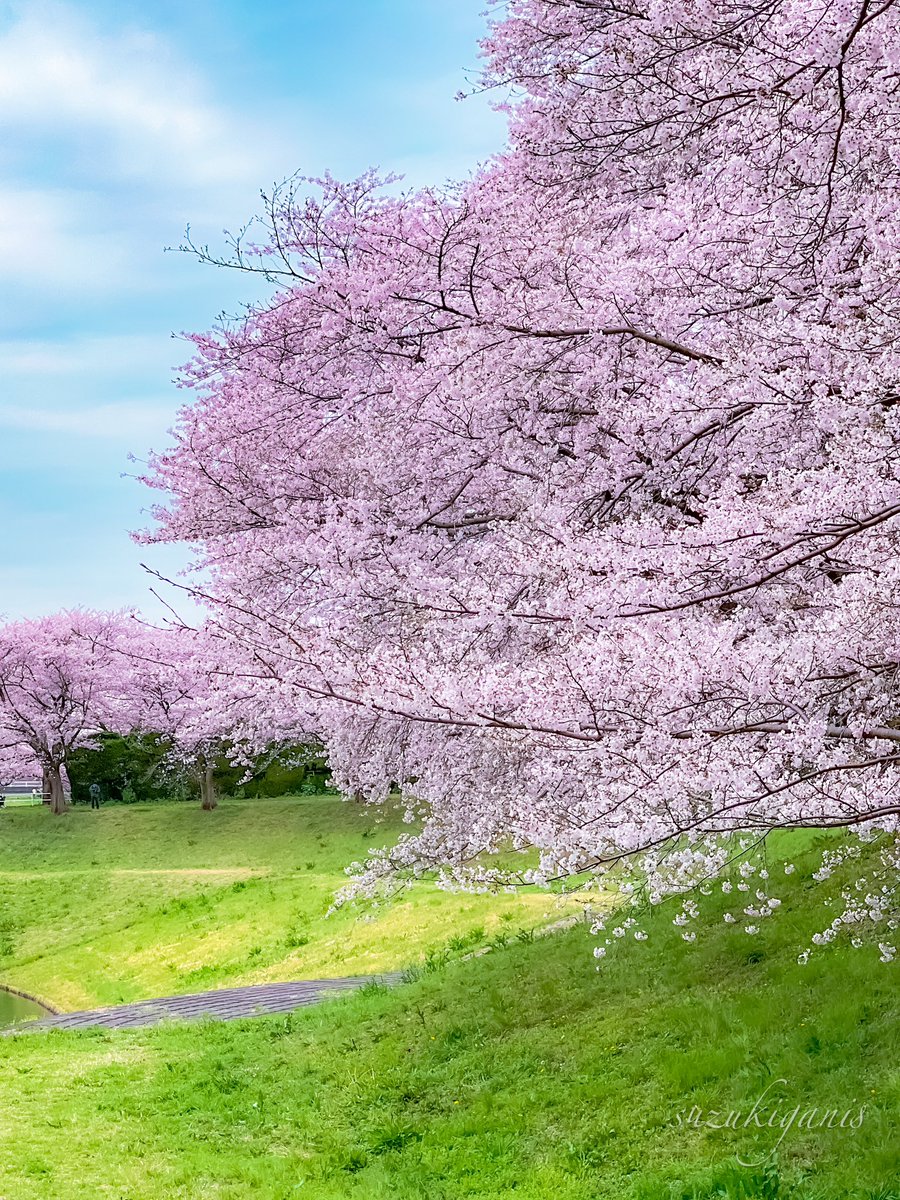 こんにちは guis ! Hari ini aku ulang tahun dan Inshaa Allah mau berbagi sedikit rezeki nih hehe.. Reply tweet ini dengan makanan yg pengen banget kalian makan untuk buka puasa hari ini ya. Ditunggu yaa 😊