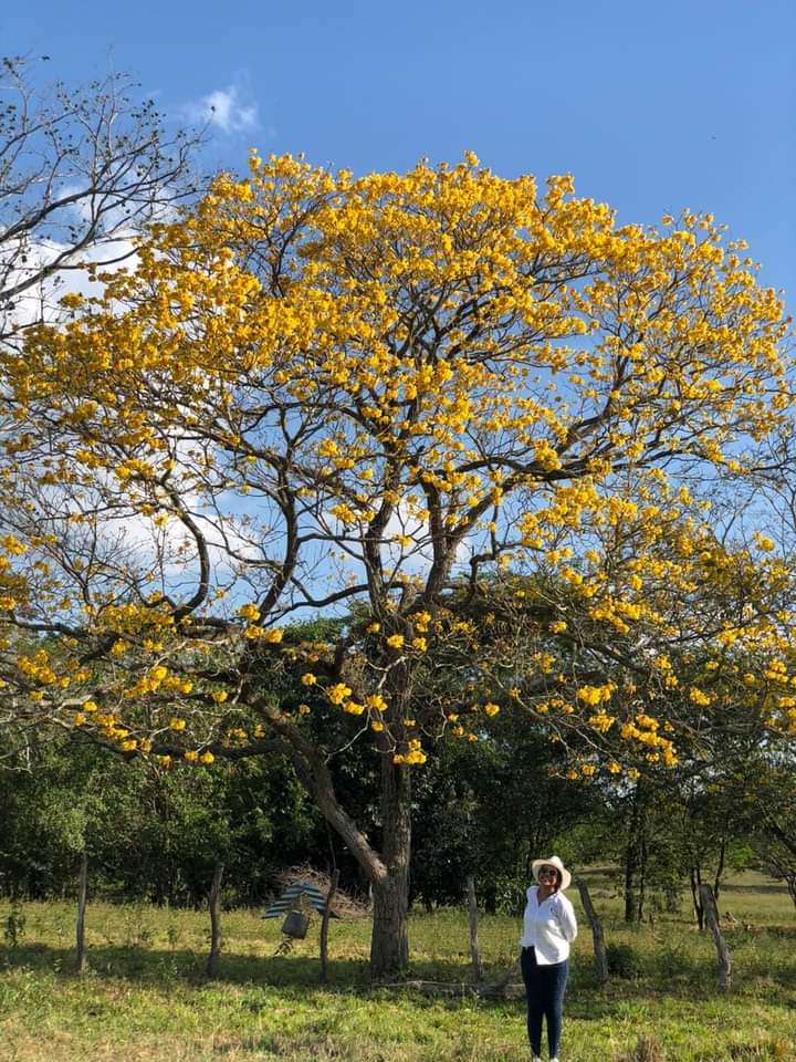 Isacastillaa's tweet photo. Me acaba de gustar https://t.co/gGeIj8Izu5