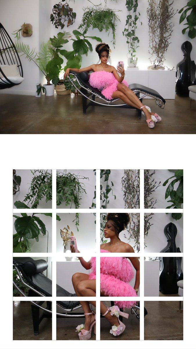 SANDFLOWER tweet media