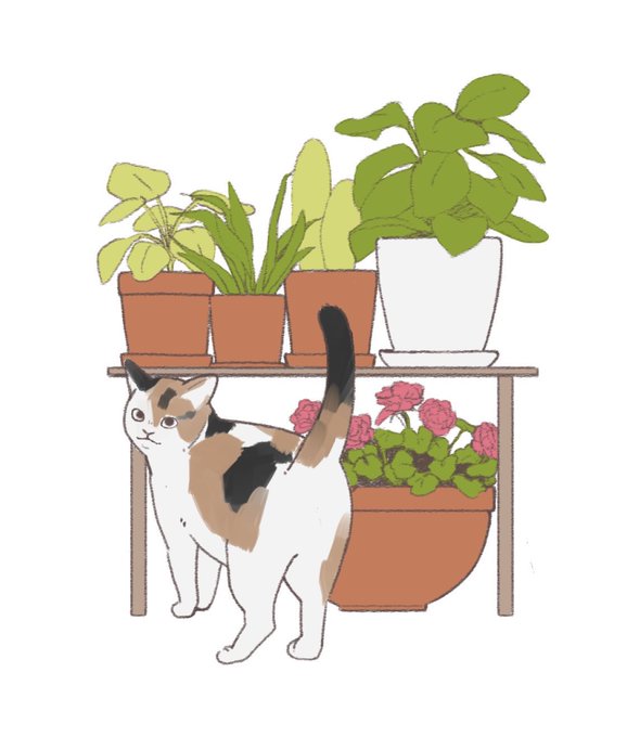 「猫 植木鉢」のTwitter画像/イラスト(新着)