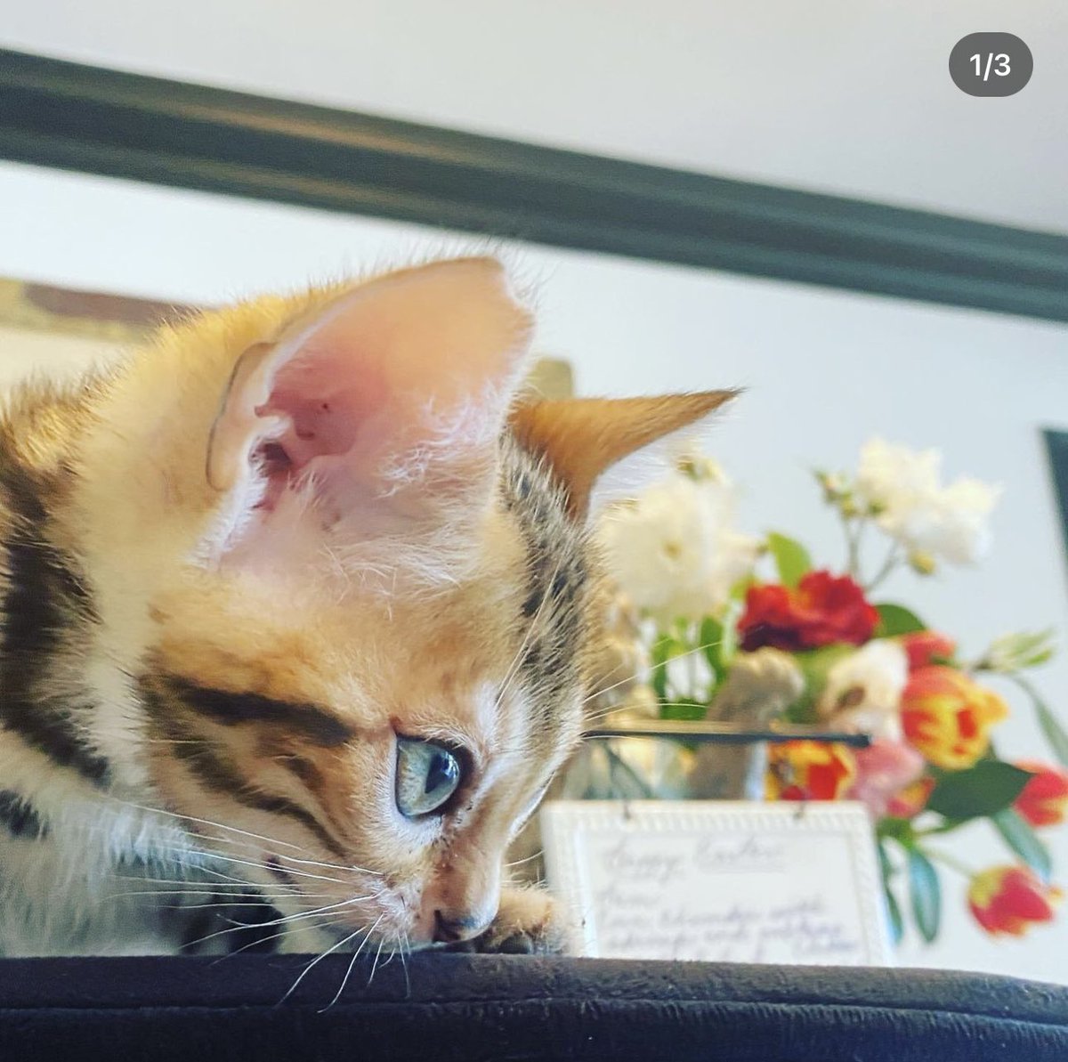 Don on Twitter "RT KierstenWarren Please be aware that so many