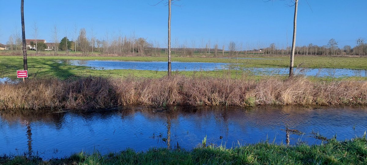 <a href="/josette_marrant/">Josette Marrant</a> <a href="/DidierLevreau/">Levreau didier aller</a> <a href="/HazizaEmma/">Haziza Emma</a> <a href="/Aquanide/">Aquanide</a> <a href="/BRGM_fr/">BRGM</a> <a href="/carole_zakine/">Zakine Carole</a> <a href="/MFesneau/">Marc Fesneau</a> <a href="/ChristopheBechu/">Christophe Béchu</a> <a href="/EricFretillere/">Eric FRETILLERE</a> <a href="/OuestFrance/">Ouest-France</a> <a href="/libe/">Libération</a> <a href="/lemondefr/">Le Monde</a> Allez je remets ça là !!
La réserve de Mauzé est pleine depuis 1 mois et demi et le niveau des nappes n'a jamais été aussi élevé depuis 15 ans !!