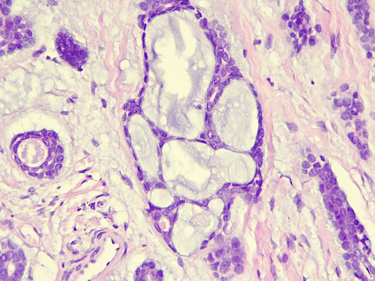 oralpathologyok tweet picture