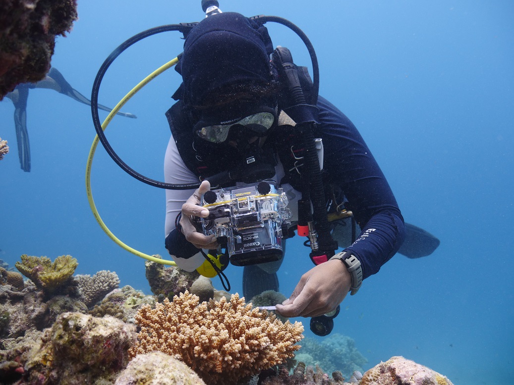 Before ChatGPT was all the rage, we were using AI to help people around the world monitor #coral reefs and analyse reef composition through #ReefCloud. 

AIMS research team lead <a href="/Manu_GR_/">Manuel Gonzalez-Rivero</a> shares the story, along with <a href="/Accenture/">Accenture</a> in this podcast: ow.ly/hviP50NulSy