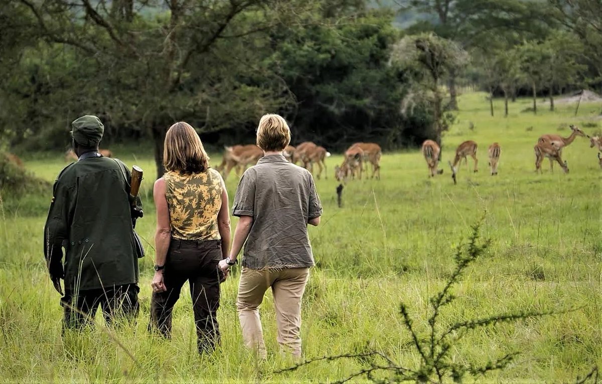 ugwildlife's tweet photo. If you could pick just one activity on the list below to do in Uganda, what would it be and why? #WildlifeWednesday #ExploreUganda 

A- Safari Game Drive
B- Safari Boat Cruise
C- Nature Walk
D- Birdwatching 

📷 Courtesy images https://t.co/WM8I8h8bVQ