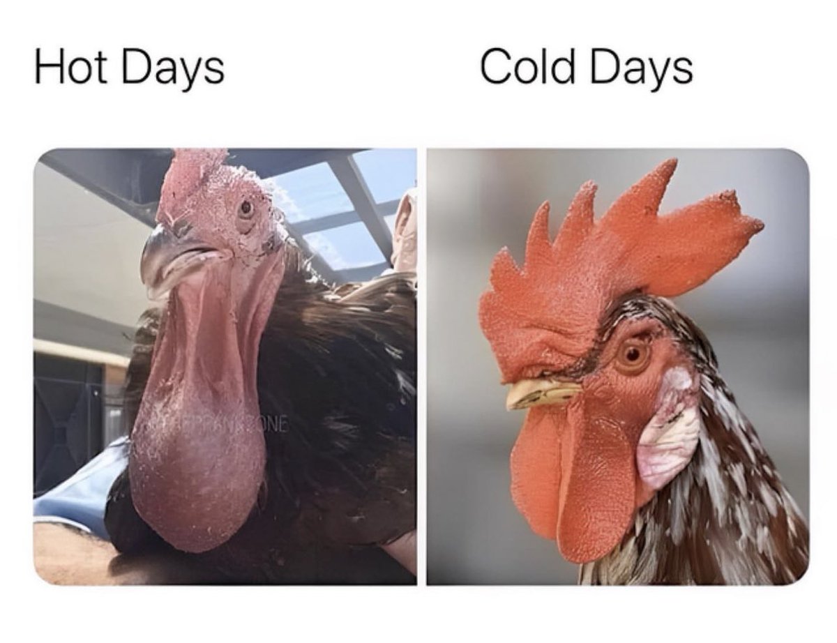 Good morning legends 💪🏻