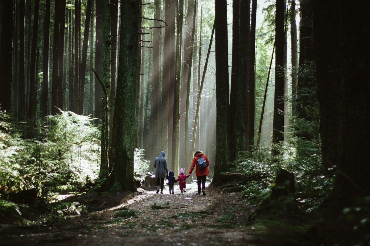 Lesley Stokes tweet media