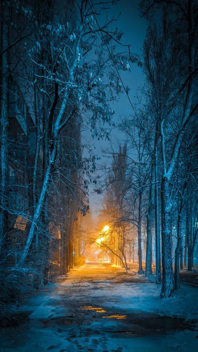 kyiv_life's tweet photo. Evening Kyiv after snowfall
#KyivLife #snow #Kyiv https://t.co/oYx3ND0umM