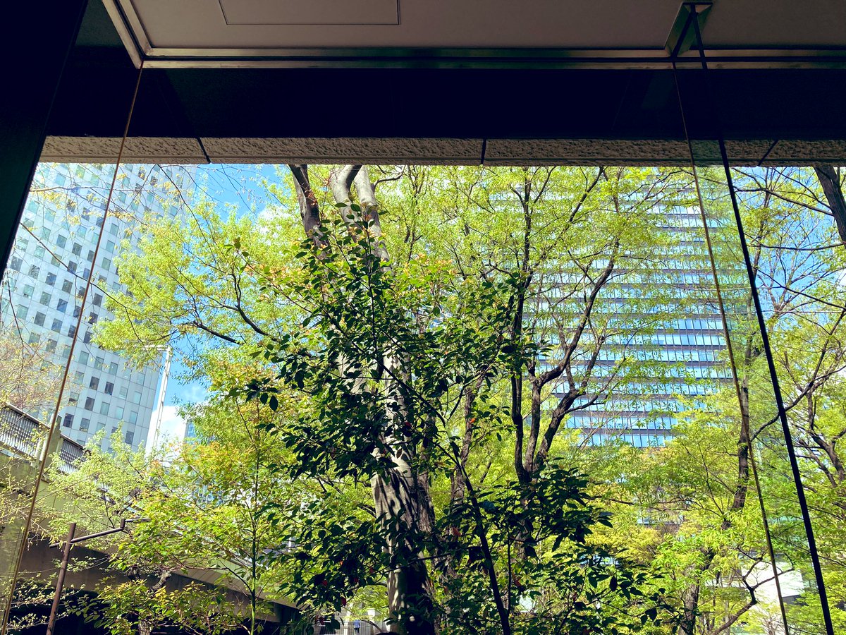 facestretching's tweet photo. 今日はリラックマの視線を浴びながらミーティング。
4月もワンデーセミナー行います！ キーワードは「今こそお顔のメンテナンス」。安心してマスクを外せるよう、フェイスストレッチング協会が皆さまを全力でサポートします！
#フェイスストレッチング
#表情筋 #エクササイズ
#スタジオHOW https://t.co/iOnrnfOrLs