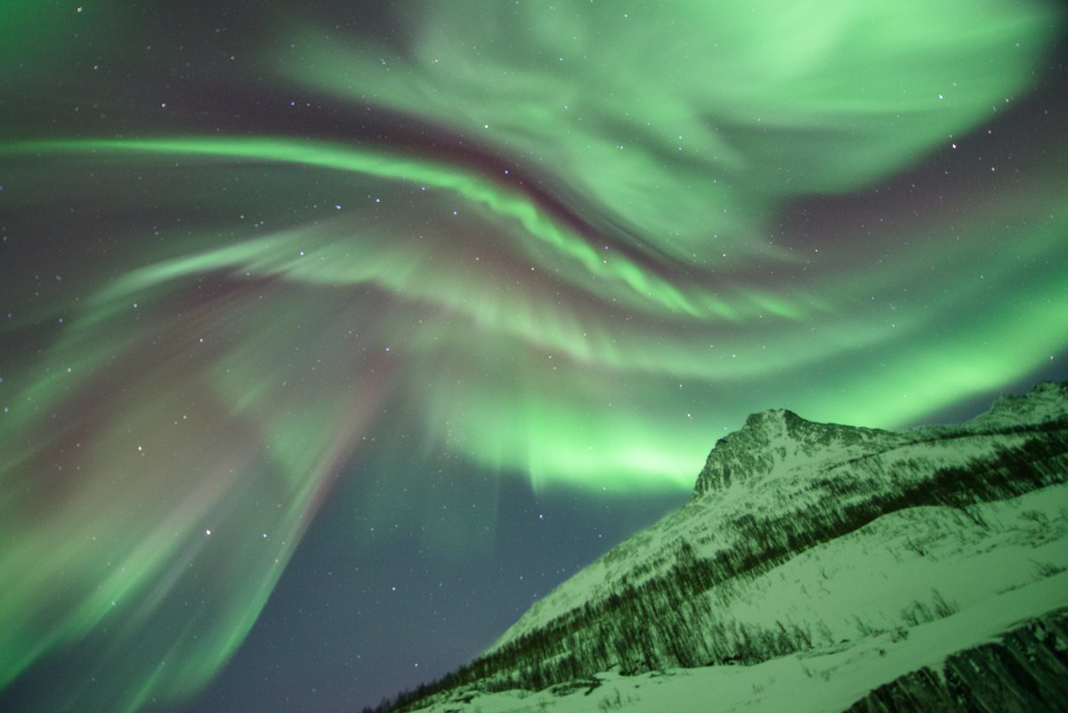 Cosimo Streppone • 沈柯明 tweet media