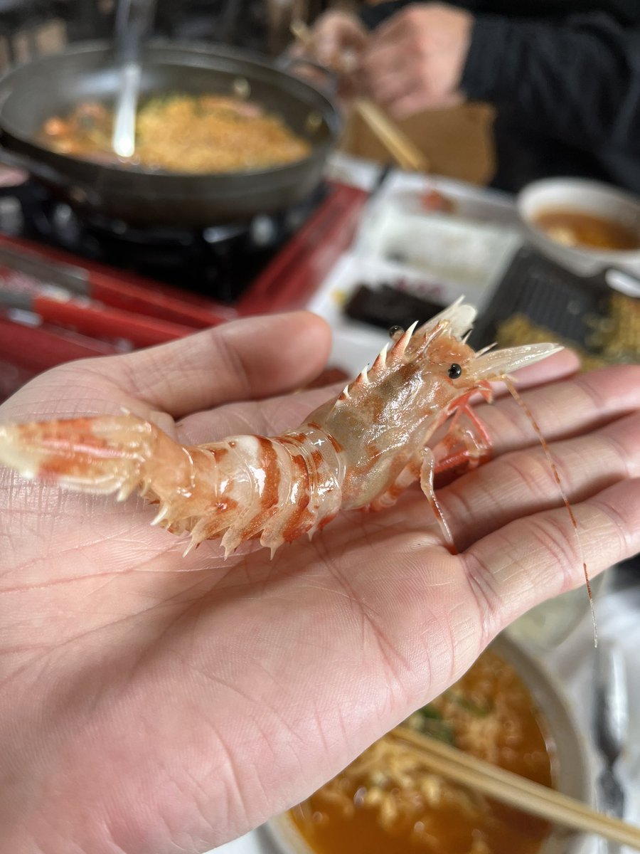 SongForestKMS's tweet photo. 朝からたくさん食べました！！！ https://t.co/n869F7Ppb1
