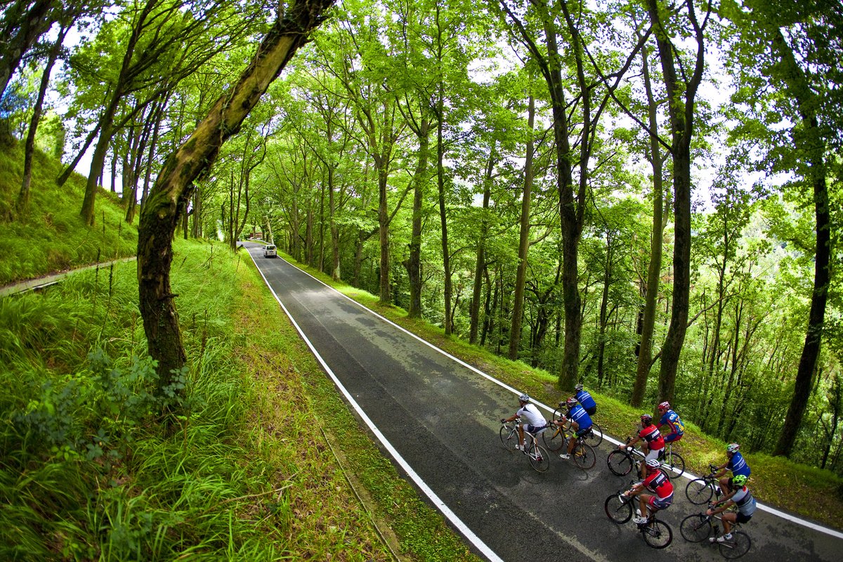 XII MARCHA JUANMA GARATE tweet media