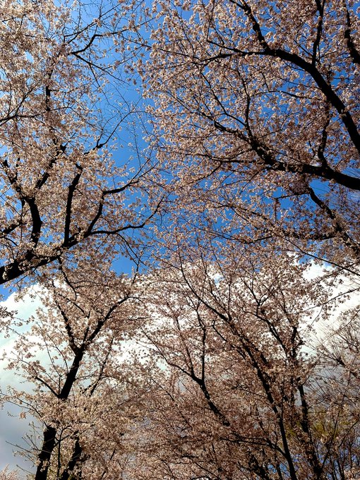 Twitterのコスプレ画像47