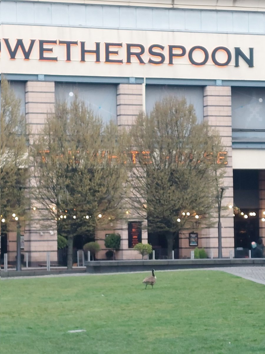 Luke O'Byrne tweet media