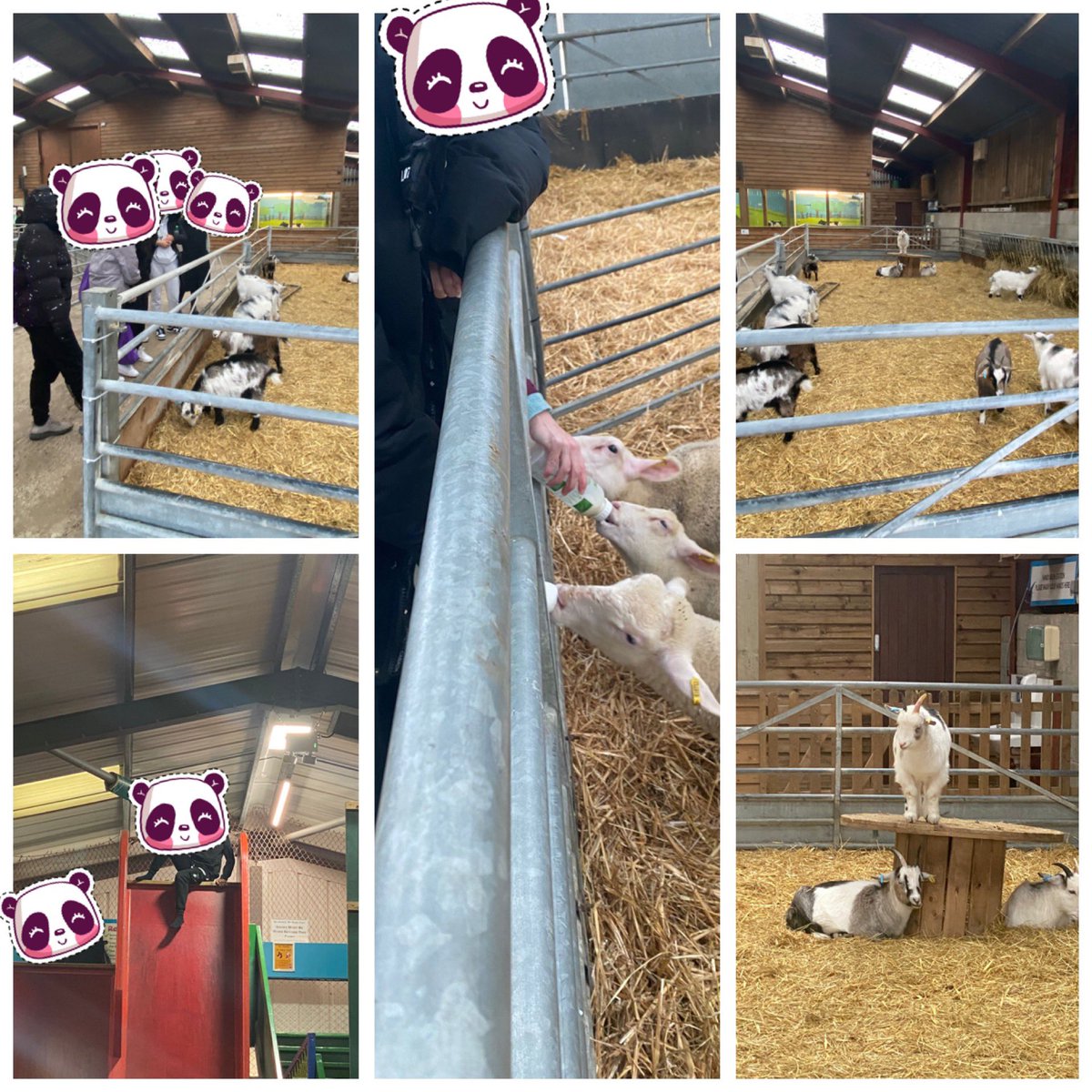 Embrace CiC tweet media