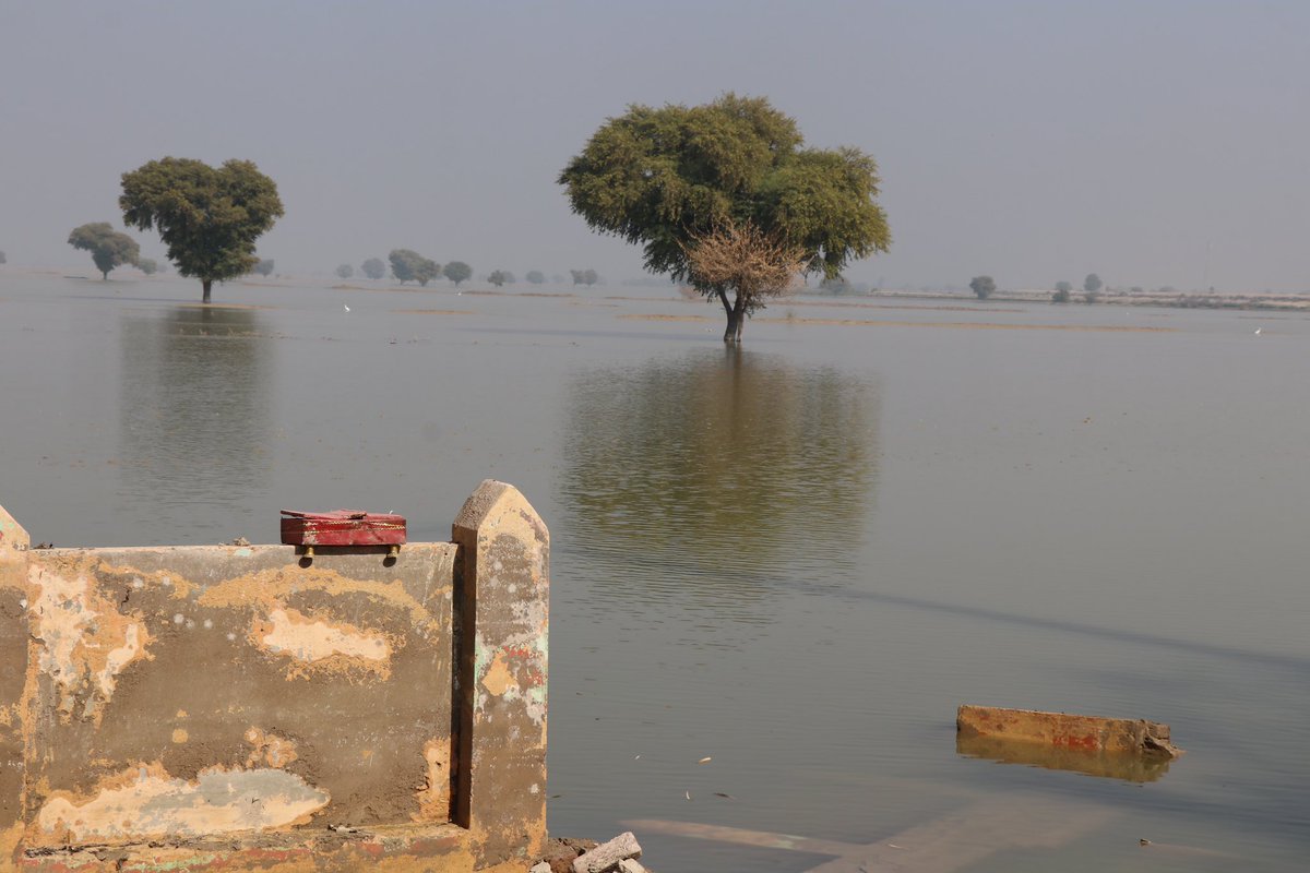 AdnanAlams's tweet photo. In Sindh, 81% of those impacted by the floods who were interviewed said that different ailments spread among their families as a result of the flooding. The most prevalent illnesses included diarrhoea, malaria, cough, and skin diseases. #IRCFloodResponse https://t.co/5KAcxX1mpl