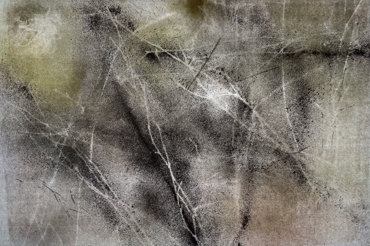 michelagriffith's tweet photo. Good morning 👋 Day 28 #The100DayProject and back to monotype printing over a background photo. The front came up disappointingly light so I put some dark marks on the reverse of the paper and lifted it up to the window.
#100daysofnature #100DayProject https://t.co/rWmXK8tVOn
