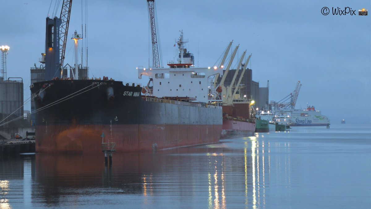 WixpixRob's tweet photo. Goooood Mornin 👋 @BelfastHarbour 

A busy looking #StormontWharf 
Closest to the 📸
#StarNINA
#FederalBERING
#ArklowRACER
#ArklowFALCON

Loading on VT2 #StenaEDDA
Inbound #WilsonFEDJE https://t.co/pQg1O4Sw6f