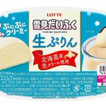 絶対うまいやつ!雪見だいふく生ぷりんが全国発売へ!