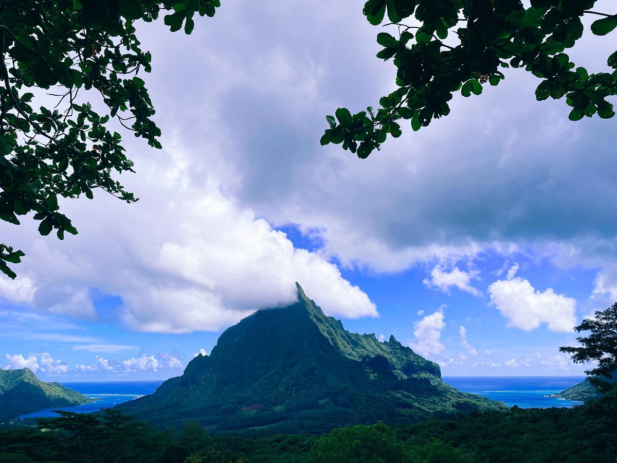 ramios_avys's tweet photo. French Polynesia is definitely worth a visit 🌴🐓 https://t.co/AfcVZ4Hl7I