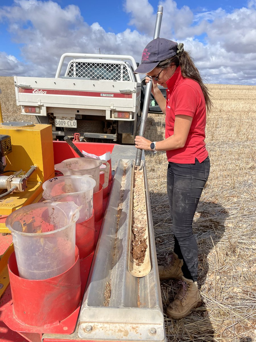 BethSleep's tweet image. Why apply broad acre inputs variably… A picture tells a thousand words! 

Minimal difference at the soils surface, huge difference beneath 🤯 🗺️ 🚜