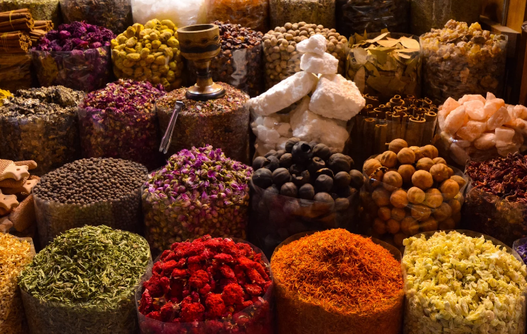 Foriecom's tweet photo. 🟦Import requests for Food Industry on Forie:

🇪🇬Cashew nuts import inquiry Egypt https://t.co/KHC6reSKf6

🇳🇱Customized cheesecakes and cakes import Netherlands https://t.co/rMBs96ujoU

🇫🇷Import inquiry for herbs and spices France https://t.co/KUAh1KIR2g

#export #b2b #import  #food