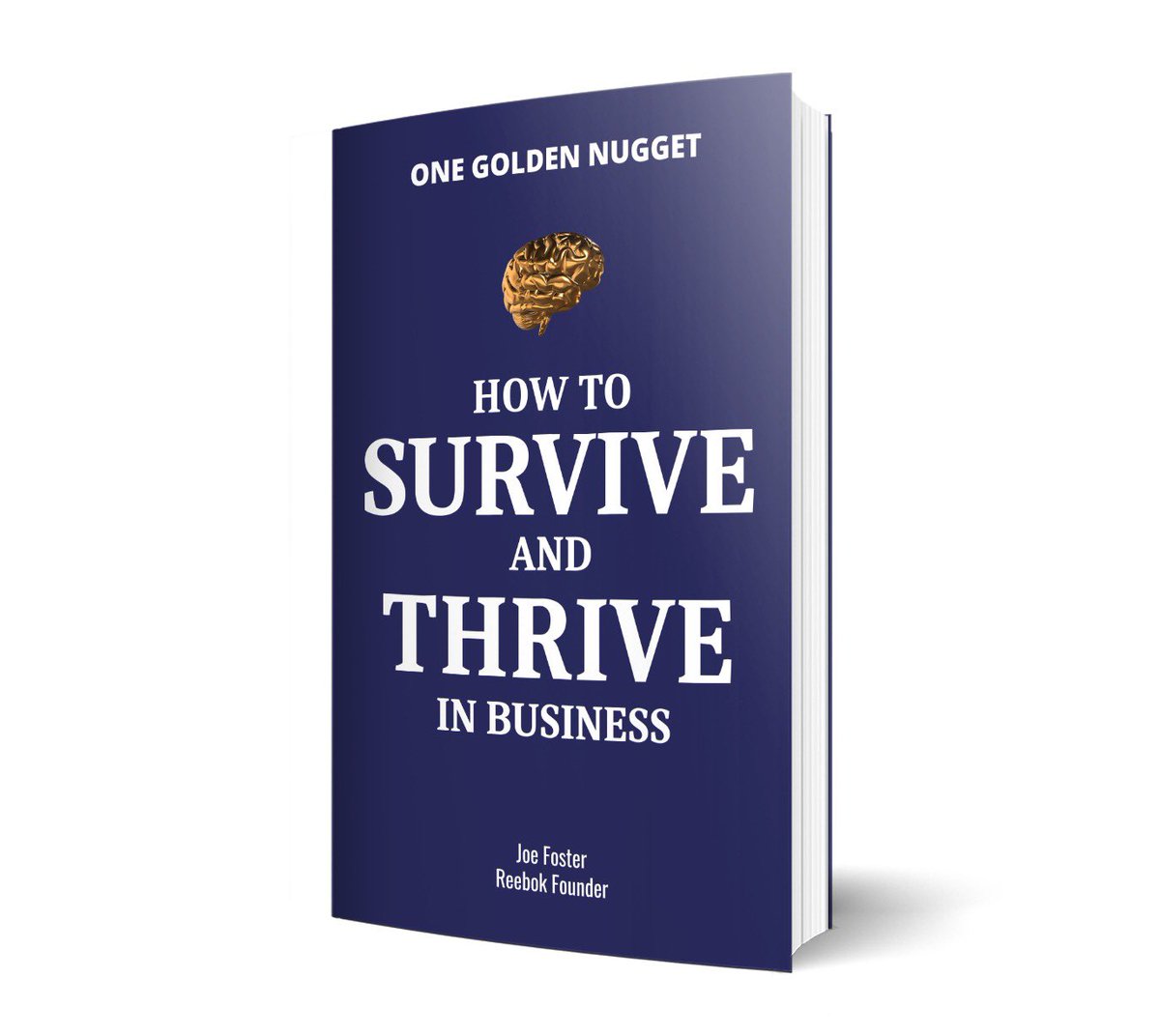 So this is happening 😁 The <a href="/onegoldennugget/">One Golden Nugget</a> team and I are putting together my second book! Want to join me in telling your story? onegoldennugget.com/joefoster/