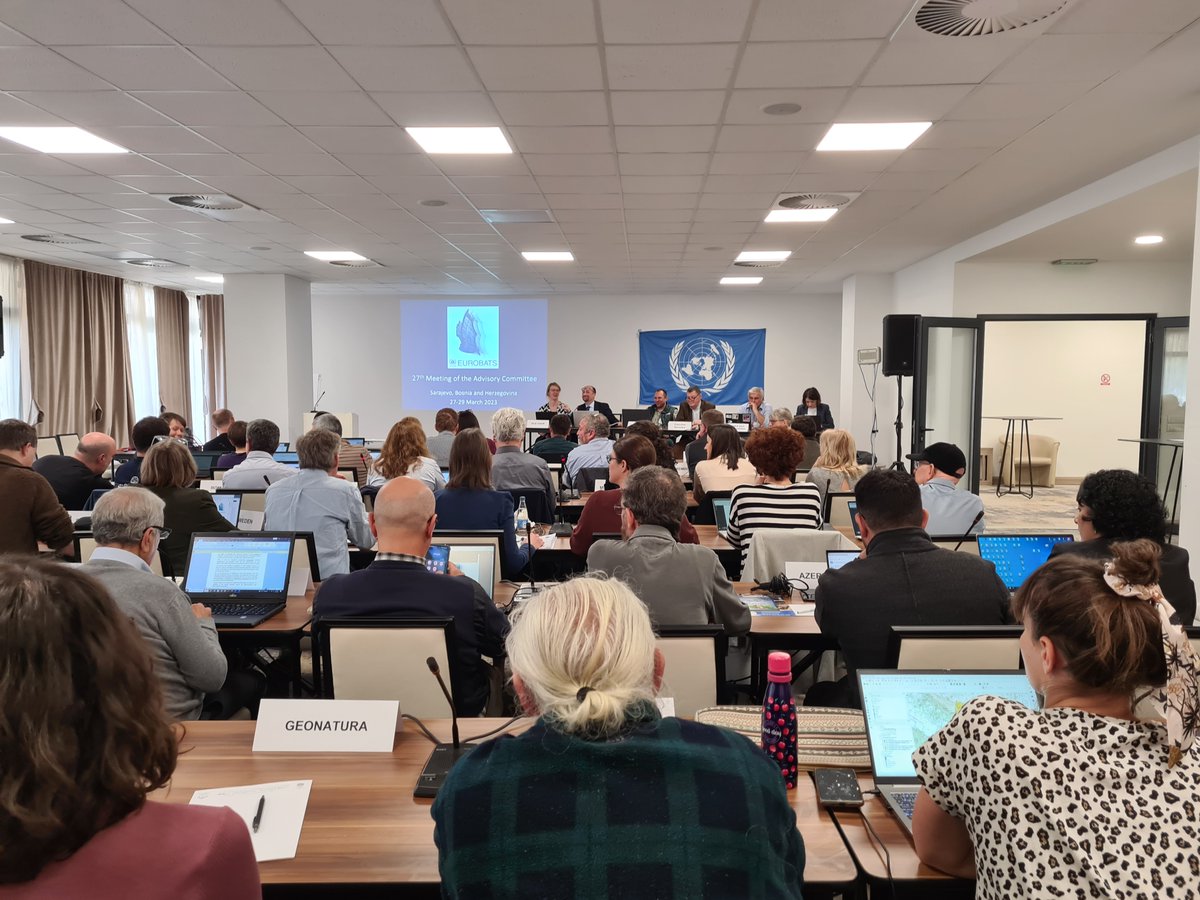 Glad to be back to #UNEP #EUROBATS meeting, 2023 in Sarajevo. Difficult times for #bats with #windenergy spreading in #Europe, hardly any mitigation measures in practice, killing thousands of #bats. We need to do better in  #conservation to fight the global #biodiversity crisis