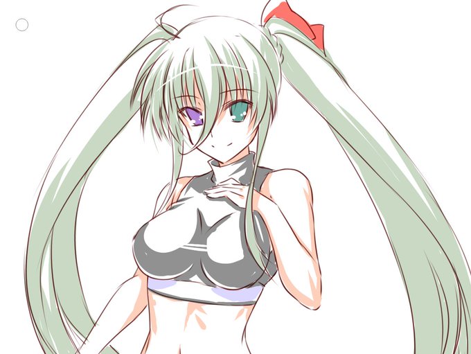 アインハルトさんもトレーニング～ 