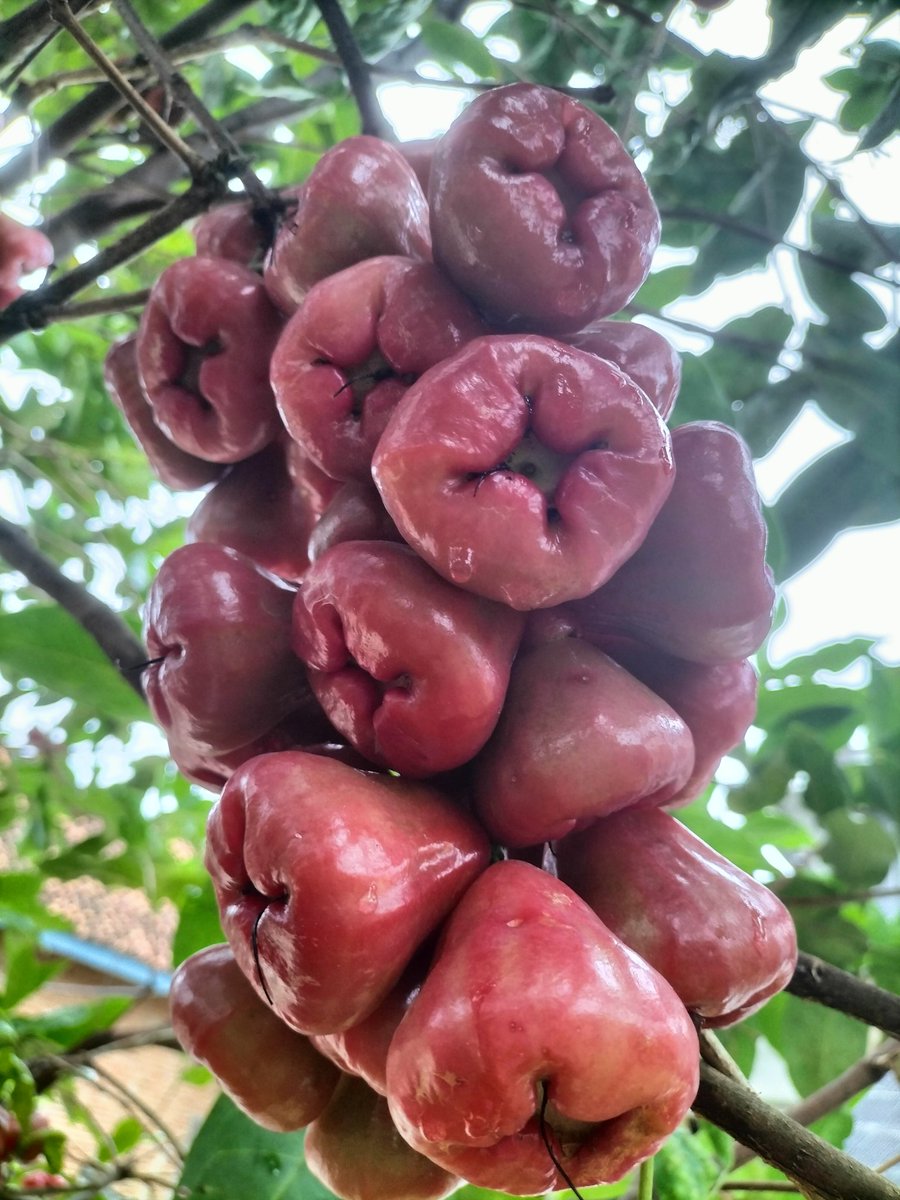 Coba sejenak berpikir, renungi apa aja hikmah dari semua keputusan yang diambil (mengesampingkan ego)