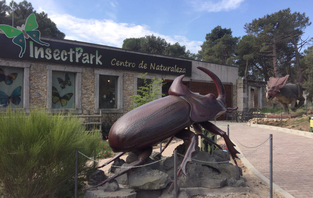 AMPAMejico's tweet photo. Hoy 3º y 4º de primaria del @ceipmejicoMadri van al #InsectPark en San Lorenzo Del Escorial ¿quién dijo miedo? Seguro que vienen contando muchas cosas de especies vivas y naturalizadas de todo el mundo🦋🐛🦂🕷🐜🐞🐝
#mejicomicole #colemejico #escuelapublica https://t.co/wTnCmwXMBv