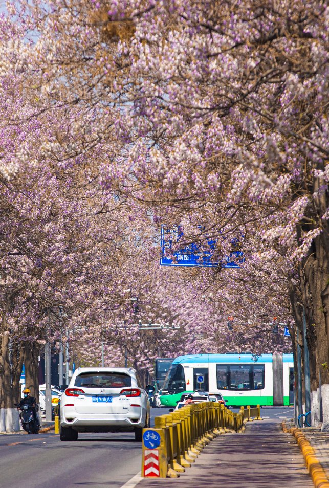 BJ_ETown's tweet photo. 💐Beijing has recommended 10 amazing routes for tourists to appreciate brightly-colored flowers. 

Two scenic spots in #Beijing #ETown — Hongda North Road and ETown Binhe Forest Park, are included in the routes!✨🌺 #ETownView https://t.co/1Ymohk9zXt