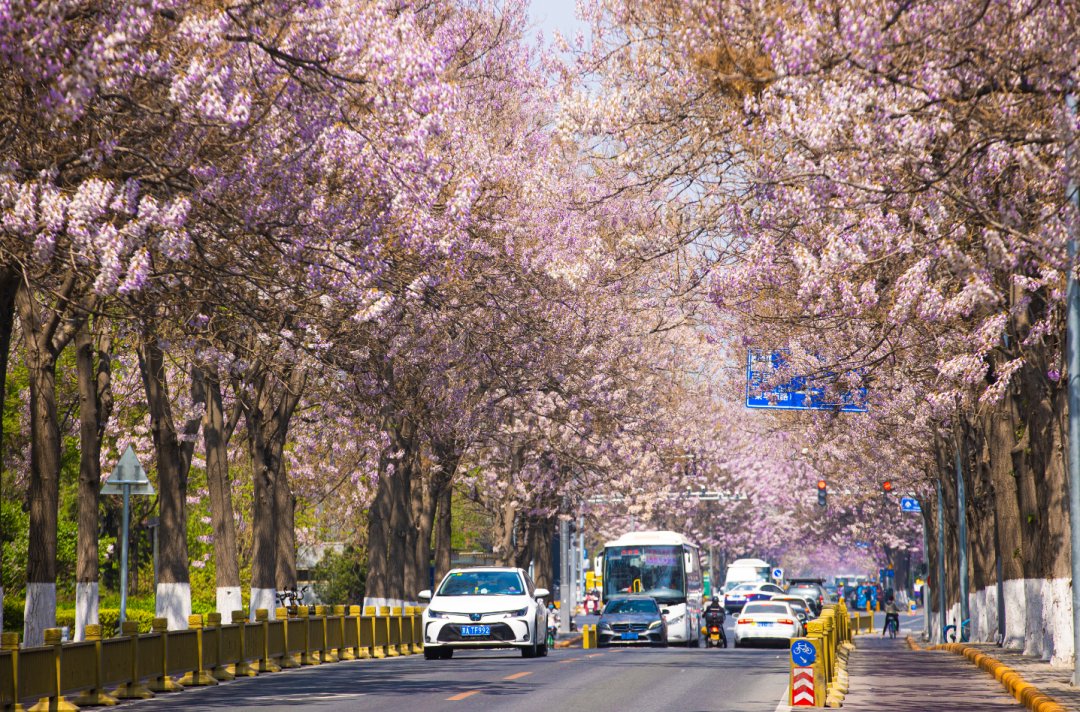 BJ_ETown's tweet photo. 💐Beijing has recommended 10 amazing routes for tourists to appreciate brightly-colored flowers. 

Two scenic spots in #Beijing #ETown — Hongda North Road and ETown Binhe Forest Park, are included in the routes!✨🌺 #ETownView https://t.co/1Ymohk9zXt