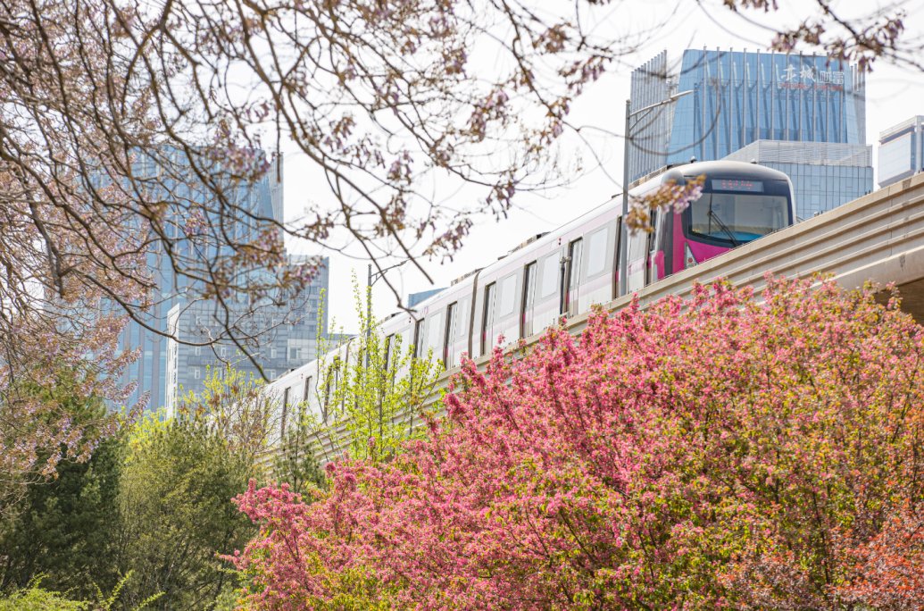 💐Beijing has recommended 10 amazing routes for tourists to appreciate brightly-colored flowers. 

Two scenic spots in #Beijing #ETown — Hongda North Road and ETown Binhe Forest Park, are included in the routes!✨🌺 #ETownView