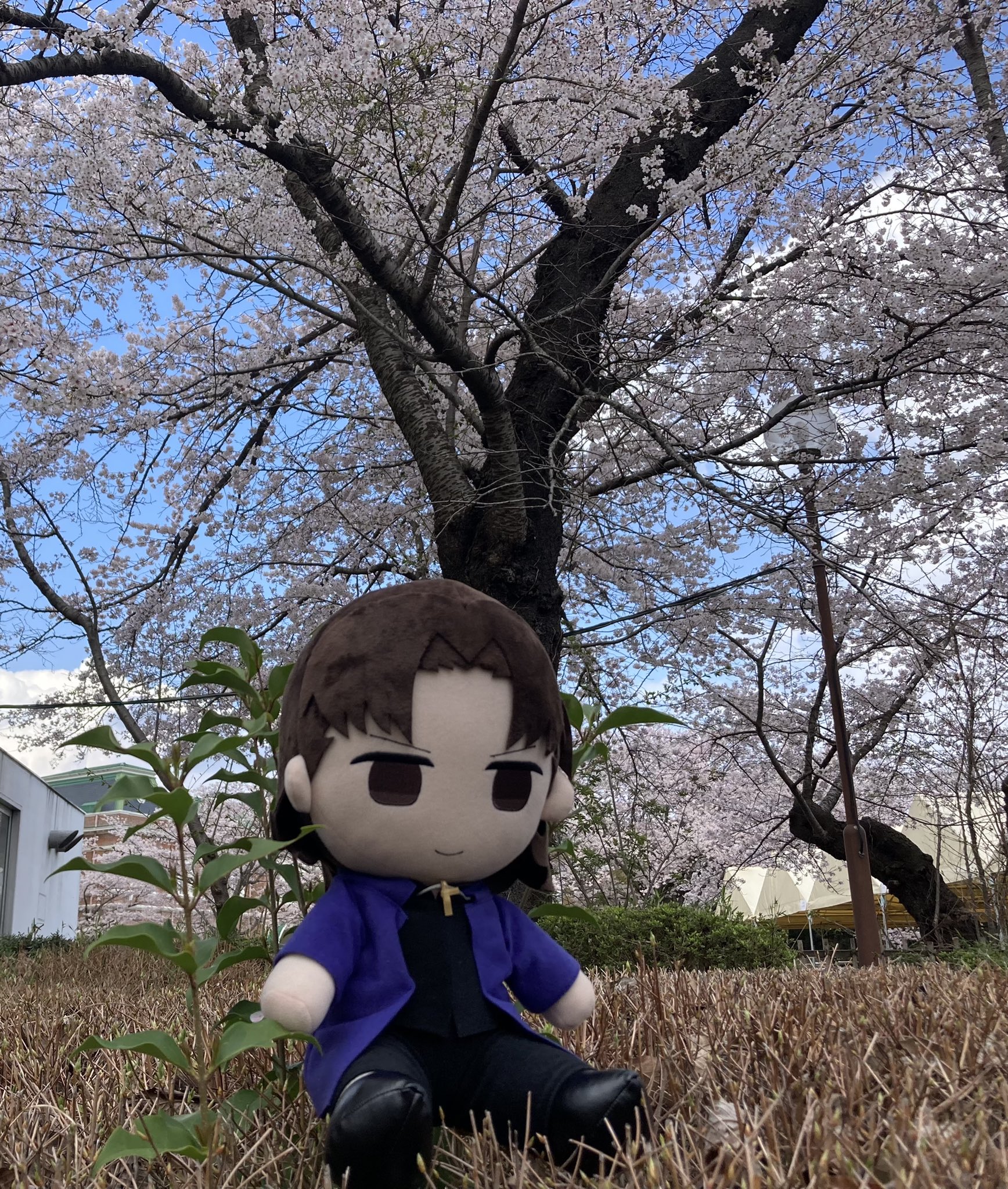 中田譲治 on Twitter