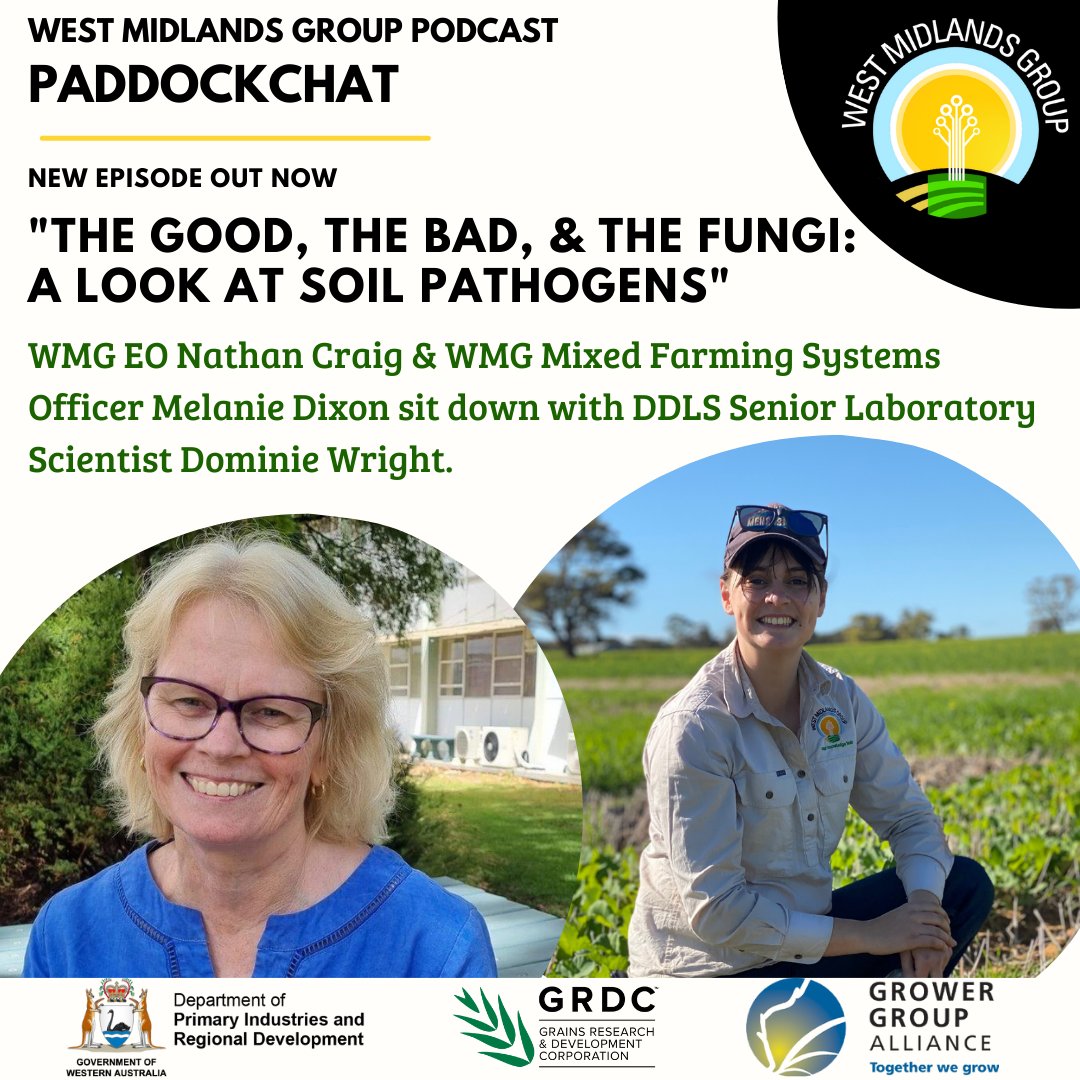 WMG_WA's tweet photo. This episode of #paddockchat takes a look at #soilpathogens with Dr Dominie Wright, Senior Laboratory Scientist in DDLS &amp; leader of the DPIRD plant diagnostic group. Listen now https://t.co/32TBFeTJYu Project made possible with support from @GGA_WA &amp; @DPIRDWA, &amp; @theGRDC https://t.co/nTy8uDcfES