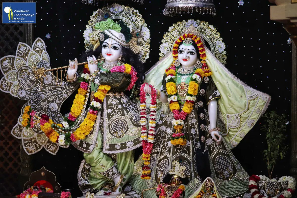 Today's Darshan of Sri Radha Vrindavanchandra, 29th March 2023.

#krishnaworld #krishnalove #krishna #radhe #mayapur #vrindavan