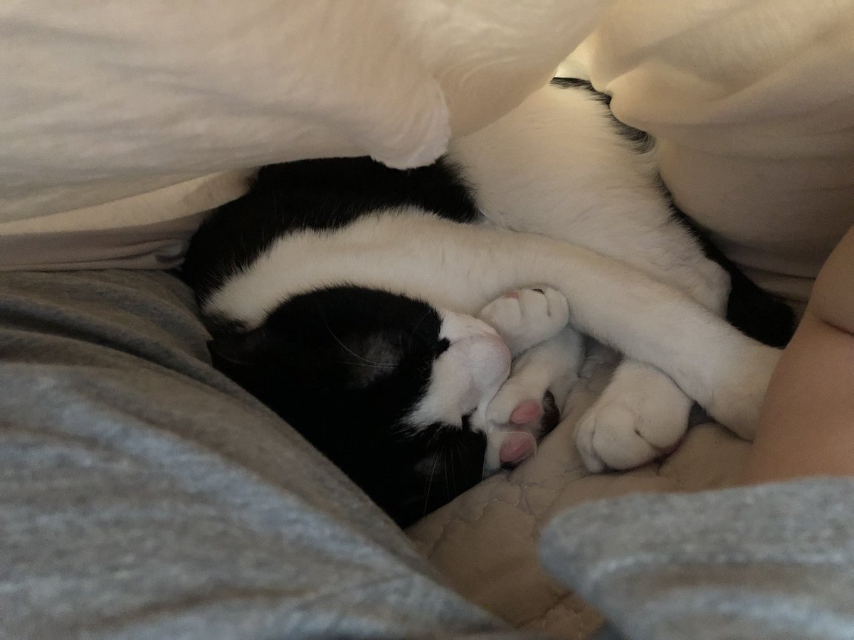 도도다다냥 (@dodo_dadada) on Twitter photo 