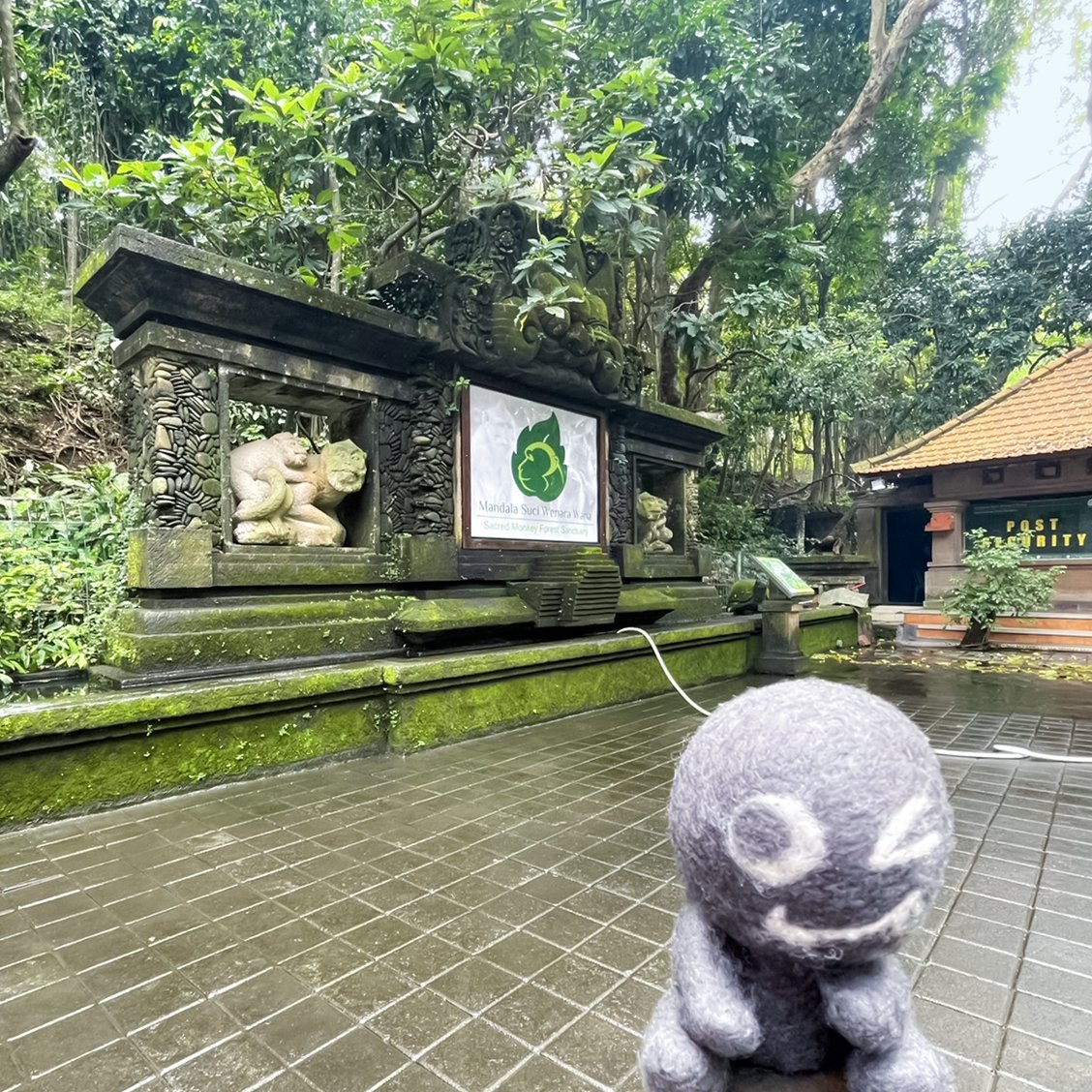 Deidara_Botchi's tweet photo. Hi!
I'm a #DeidaraBotchi .
I've been to #MandalaSuciWenaraWana !
#MonkeyForestUbud
#MonkeyForest
#Ubud
#Bali
#Indonesia
#Nuidori
#WoolFelt #NeedleFelting #NeedleFelt
#StuffedAnimal
#StuffedToy
#SoftToyTravel
#SoftToy
#PlushToyTravel
#PlushToy
#WoolToyTravel
#WoolToy https://t.co/ocfA8ZhgCa