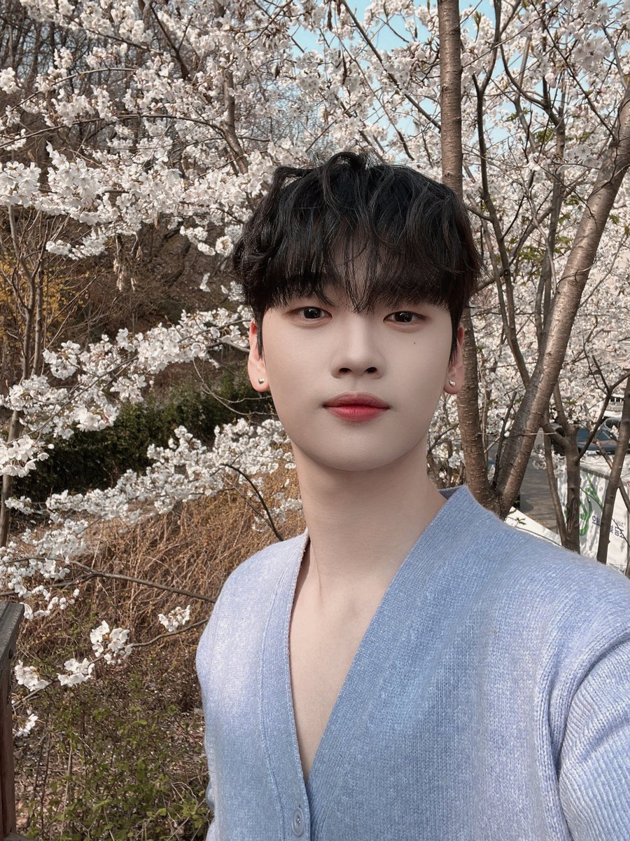 aléxa 🪝 ˚.⋆♪ tweet media