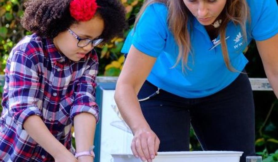 .#DYK that every #Saturday in #April @WWTLondon there is Autism and Sensory Friendly Pond Dipping #Barnes visitrichmond.co.uk/events/autism-… @Ruils @RichmondAID @RCVS_Richmond @Autism @BCA4Barnes @AforChildren