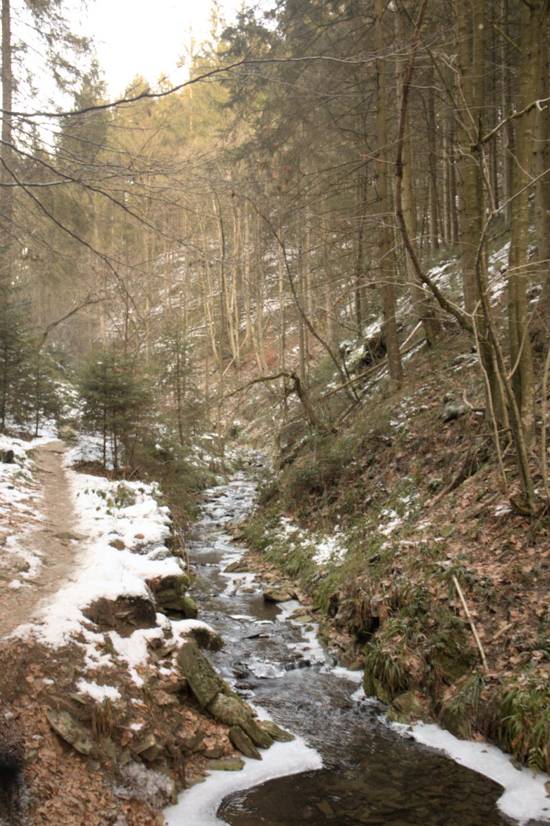 orgravenblack's tweet photo. guess I'm a bit in an old-school Ardennes postcard period.  
#photo #photography #photographylovers
#nature #naturephotography #naturelovers
#landscape #landscapephotography #landscapelovers
#Belgium #Wallonia #ardennes  #hautesfagnes https://t.co/H6BasKHkLN