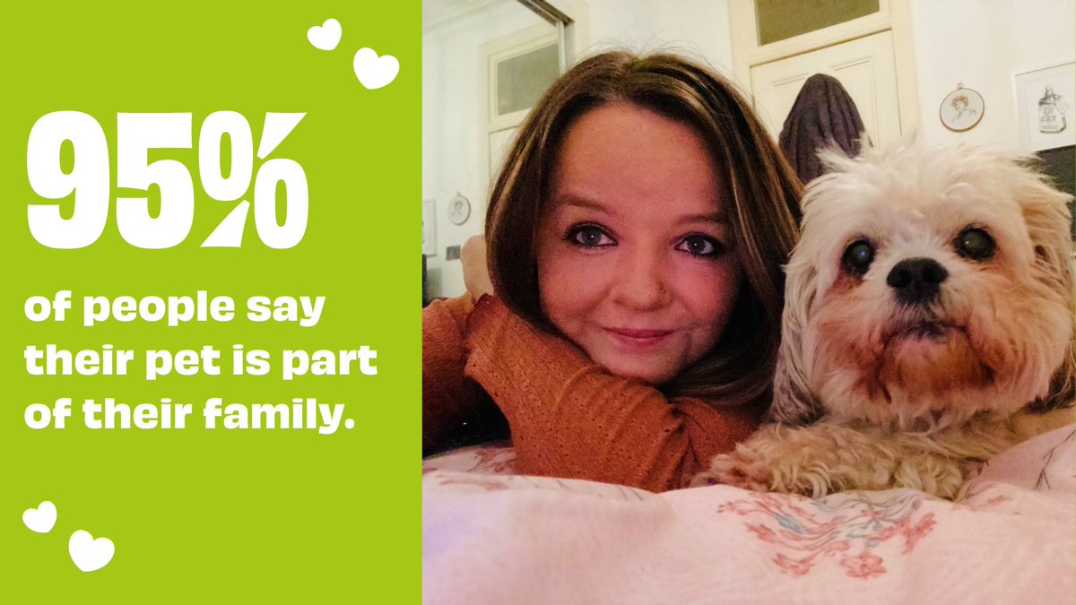 EdinDogCatHome's tweet photo. In last year's Big Pet Census, 95% of you said your pet was part of the family, and almost half of you said your pet was a companion or best friend 💚.
Help us to keep families, companions, and best friends together. Sign up to donate £5 a month today: https://t.co/LrY8TxU2FJ https://t.co/eDDMhhWrZy