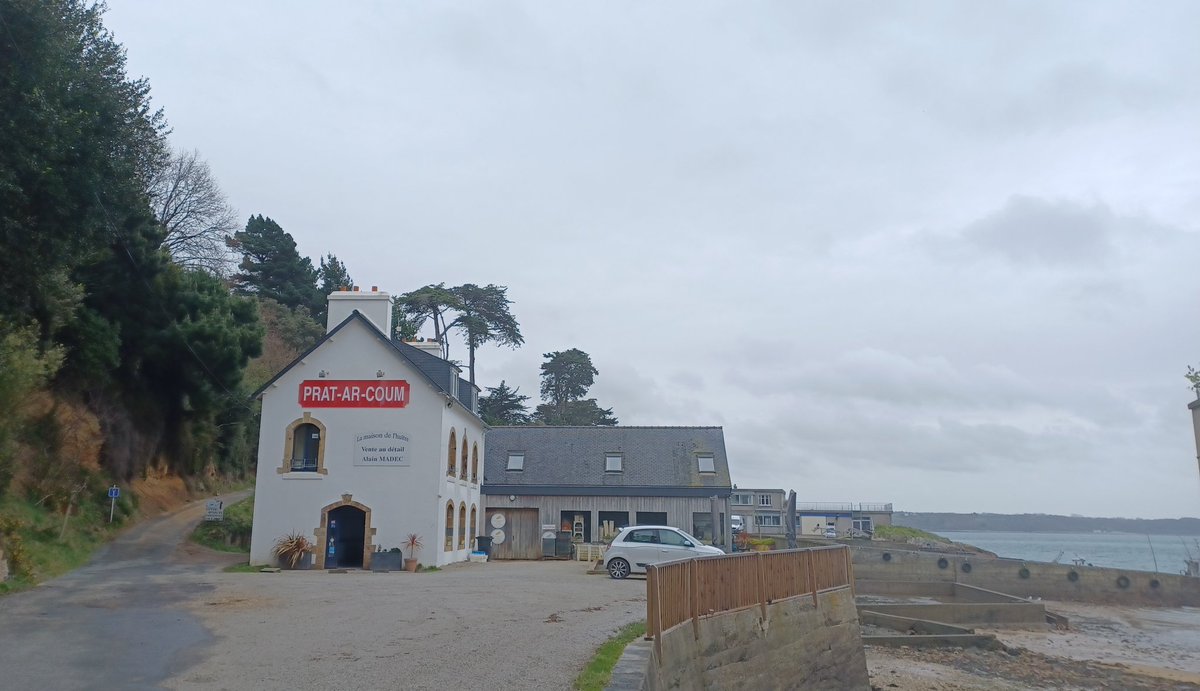 Gamb0's tweet image. A lovely walk to pick up seafood and crab soup 😋 #Carentec