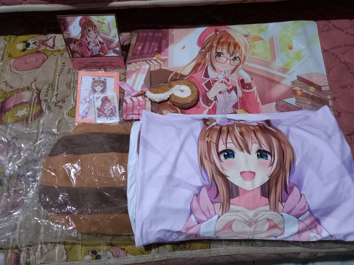 DavidVTan's tweet photo. @ayunda_risu My secret stash. Can't let mom know I'm sleeping with cute girl in my room https://t.co/FwcAakBn6m