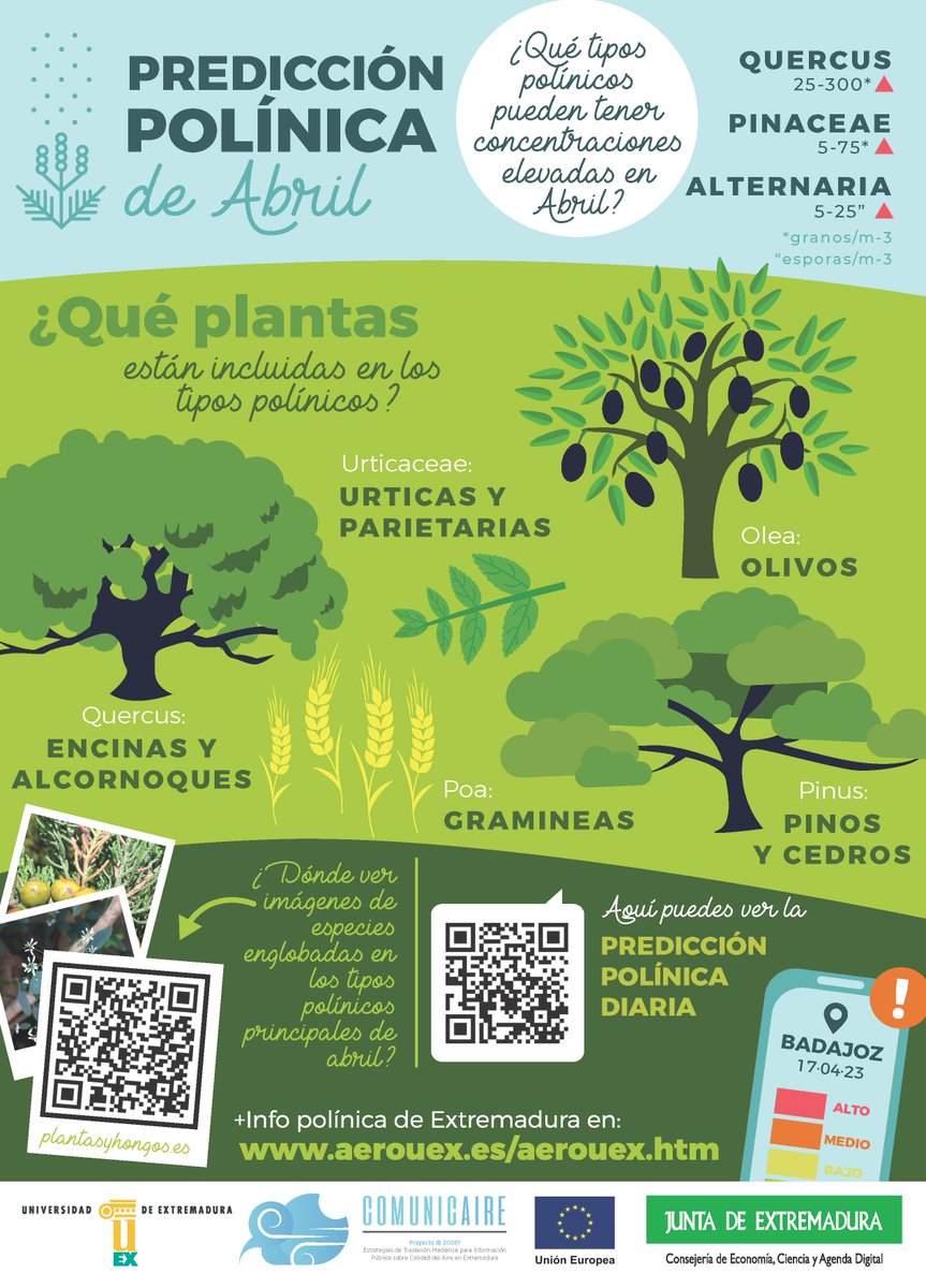 #Comunicaire #PredicciónPolínica #UEX
<a href="/UExDivulga/">Cultura Científica UEx</a> <a href="/infouex/">UEx</a> 
aerouex.es/aerouex.htm