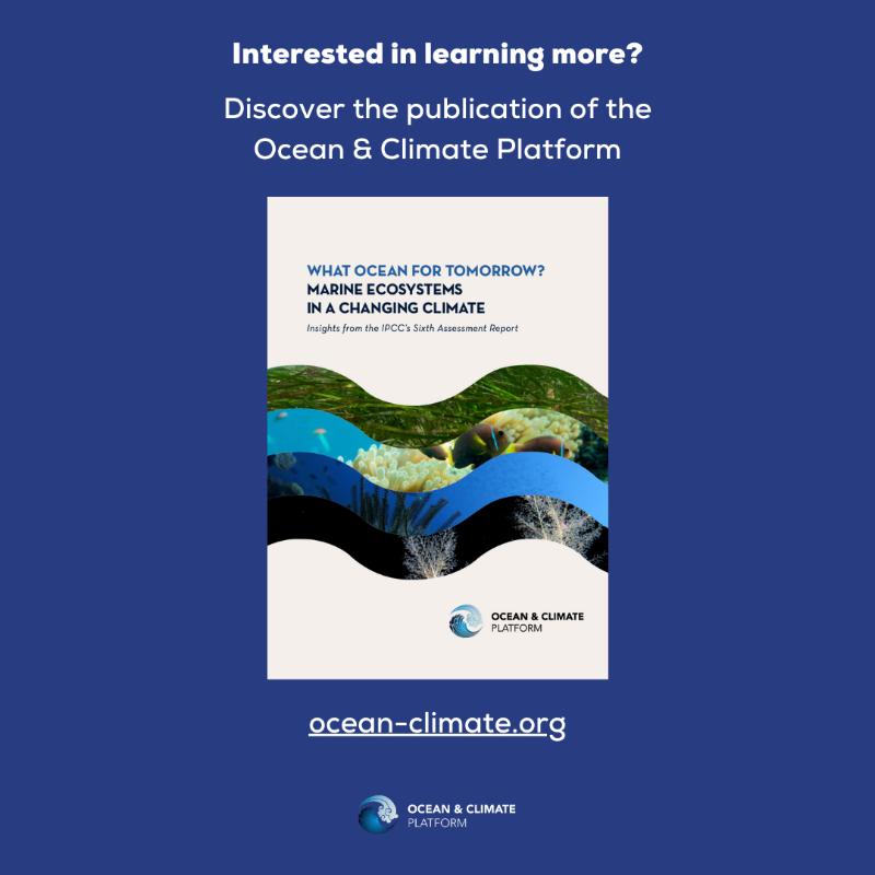 ocean_climate's tweet photo. [#WhatOceanForTomorrow] #FOCUS🦠#Plankton are cornerstones of food chains and play a crucial role in the sequestration of #carbon... 
👉Plankton are essential to all life on #Earth and in the #sea 🌏

👇More on this topic in @ocean_climate's latest publication