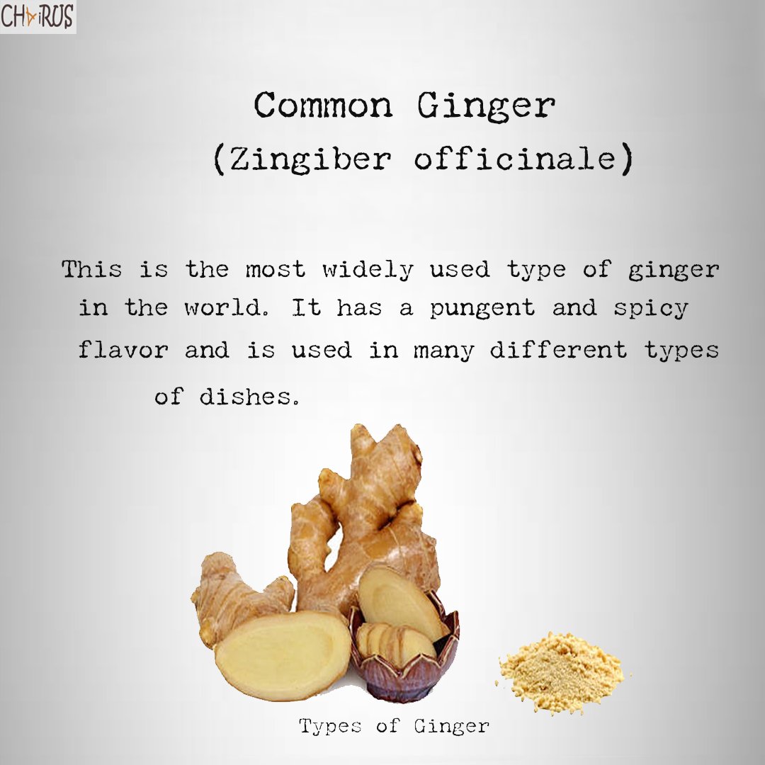 tweChairus's tweet photo. Just amazing!! Ginger has so much varieties and many benefits. Please explore and share your comments.

#ginger #wednesday #chairus #tea ##gingerlove
#gingermagic
#gingerpower
#gingerlife
#gingerbeauty
#gingerhair
#gingersnap
#gingergirl
#gingerpride
#gingerfamily https://t.co/YuckdUQPJI