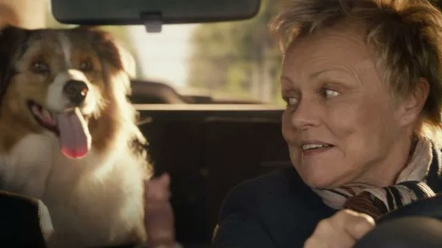 AimPublicity's tweet photo. #MissingAngel ‘Riveting and emotional French crime drama… an intriguing tale of maternal love’ @TheSun 

#StreamingNow @AcornTVUK https://t.co/rV8dvwSxBo